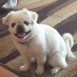 Meet your Posher, Andrea